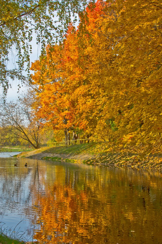 Photograph by Дмитрий Жижин
