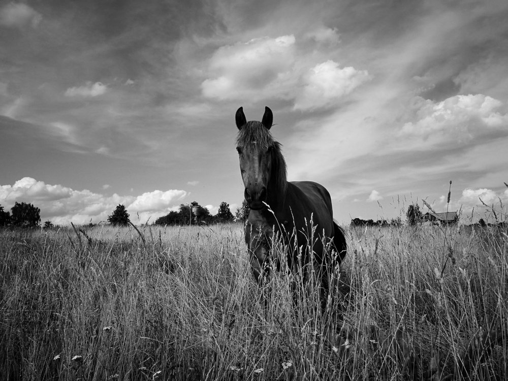 Photograph by Евгений Кравченко