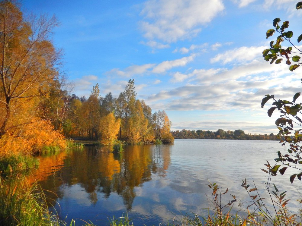 Фотография автора Клавдия Васильева