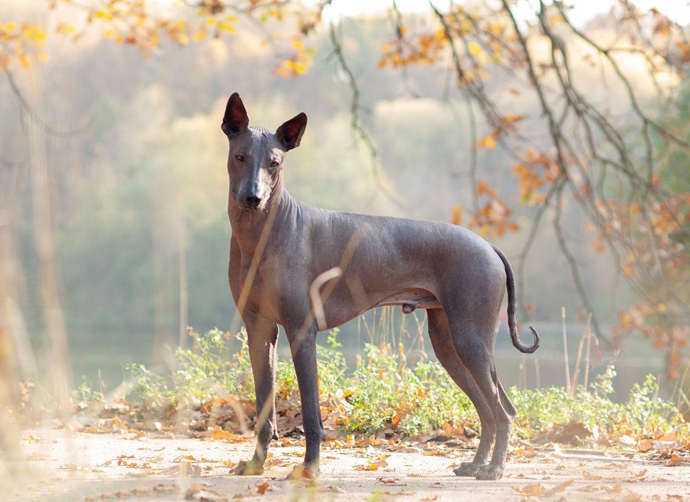 Photograph by Антонина Копытина