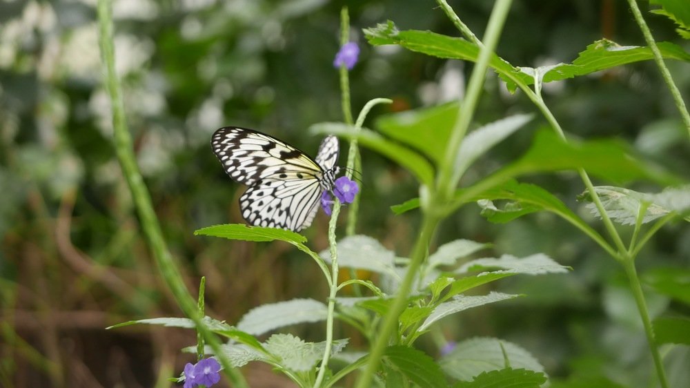 Photograph by Ольга Одаренко