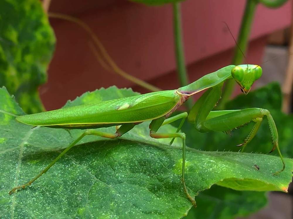 Photograph by Jonathan