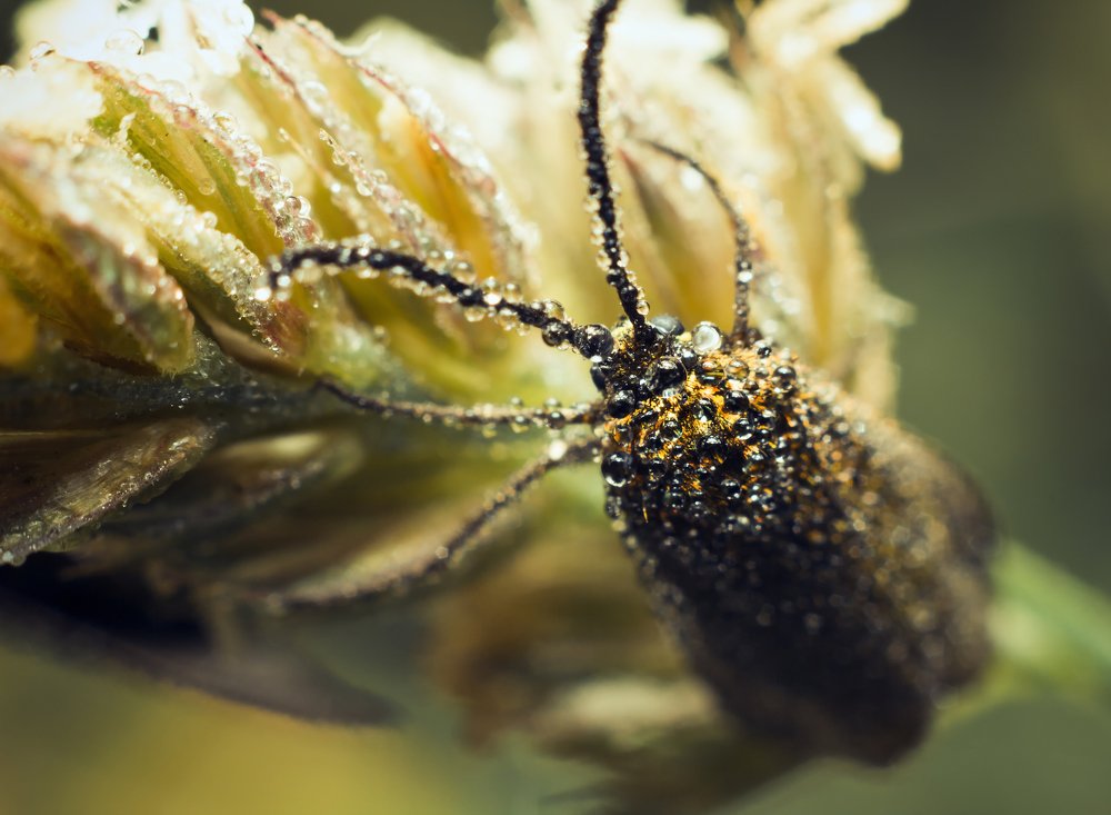 Photograph by Yuliia Nazarova