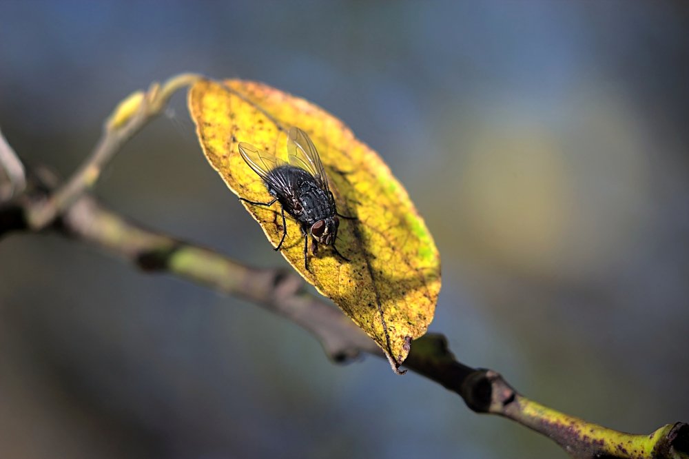Photograph by Евгений Беленков