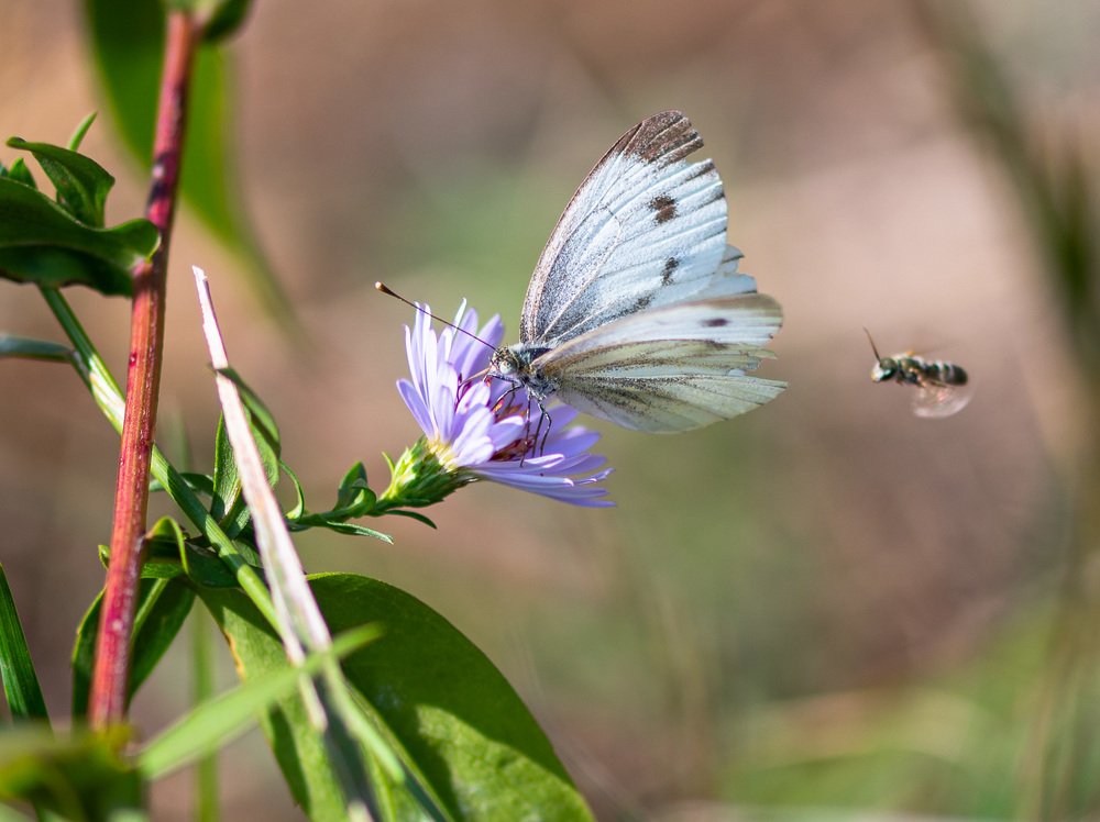 Photograph by Дмитрий Крючков