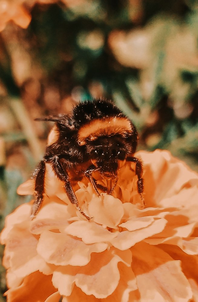 Photograph by Владислав Гриньків