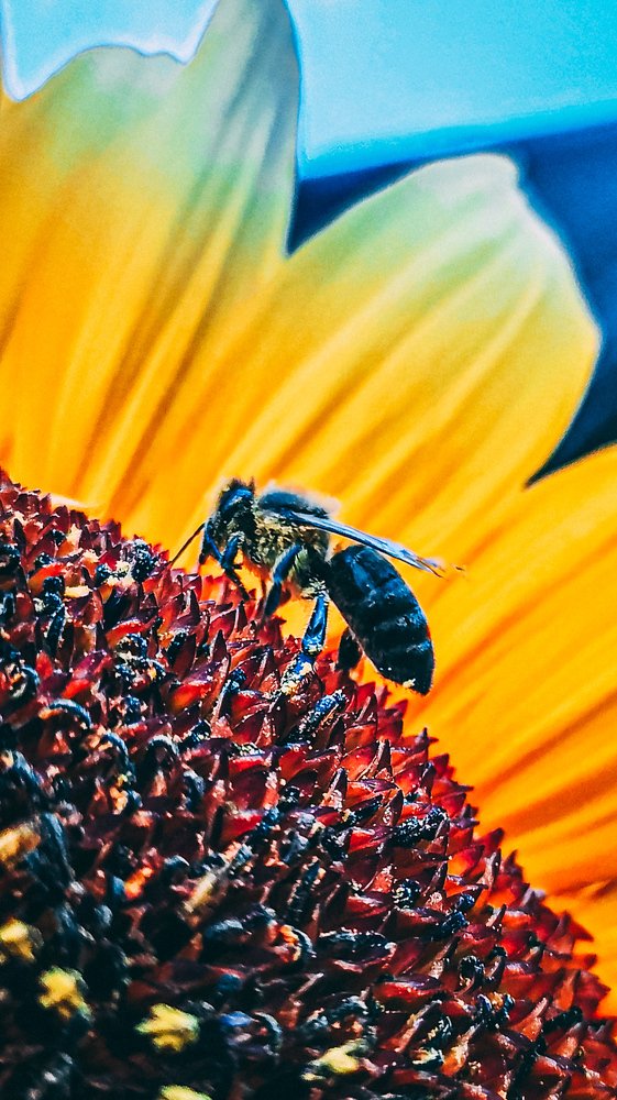 Photograph by Владислав Гриньків