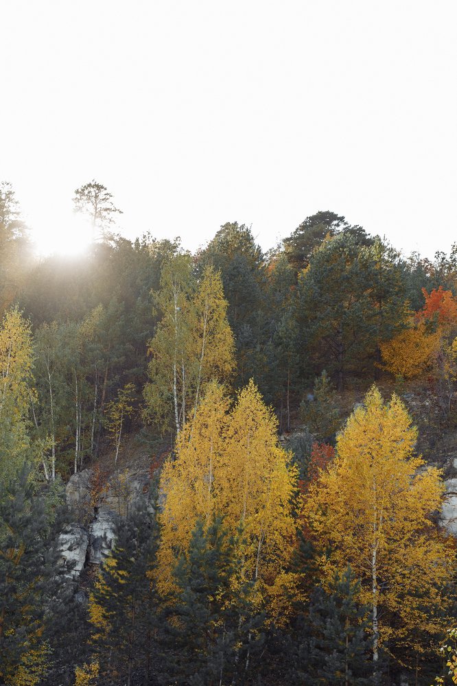 Фотография автора Артемий Федосеев