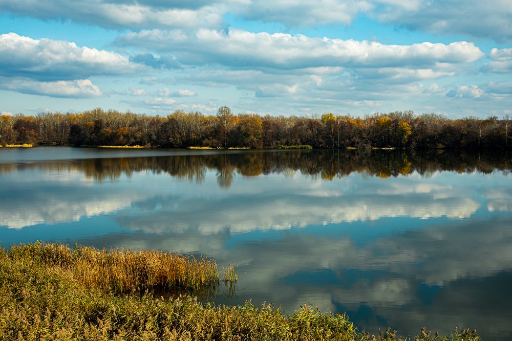 Photograph by Дмитрий Крючков