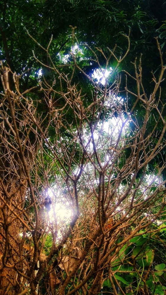 Фотография автора Parag Purkar