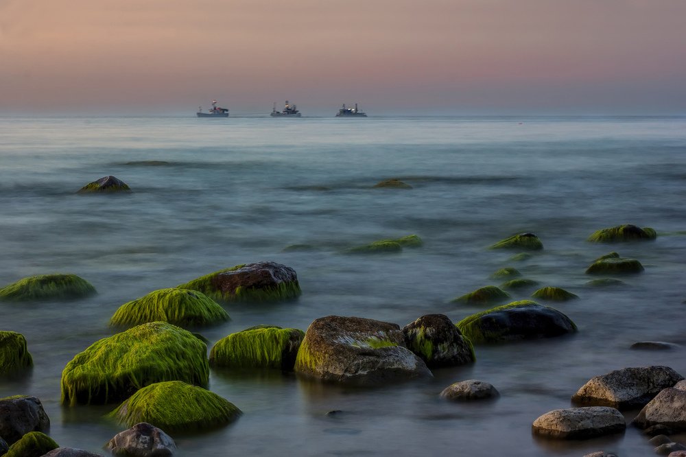 Photograph by Игорь Антипов