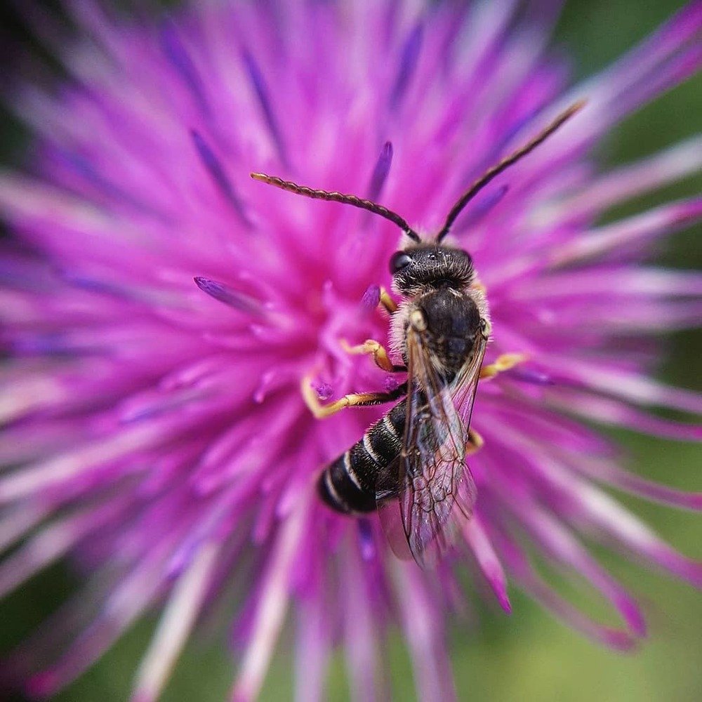 Photograph by Ольга Мажарук