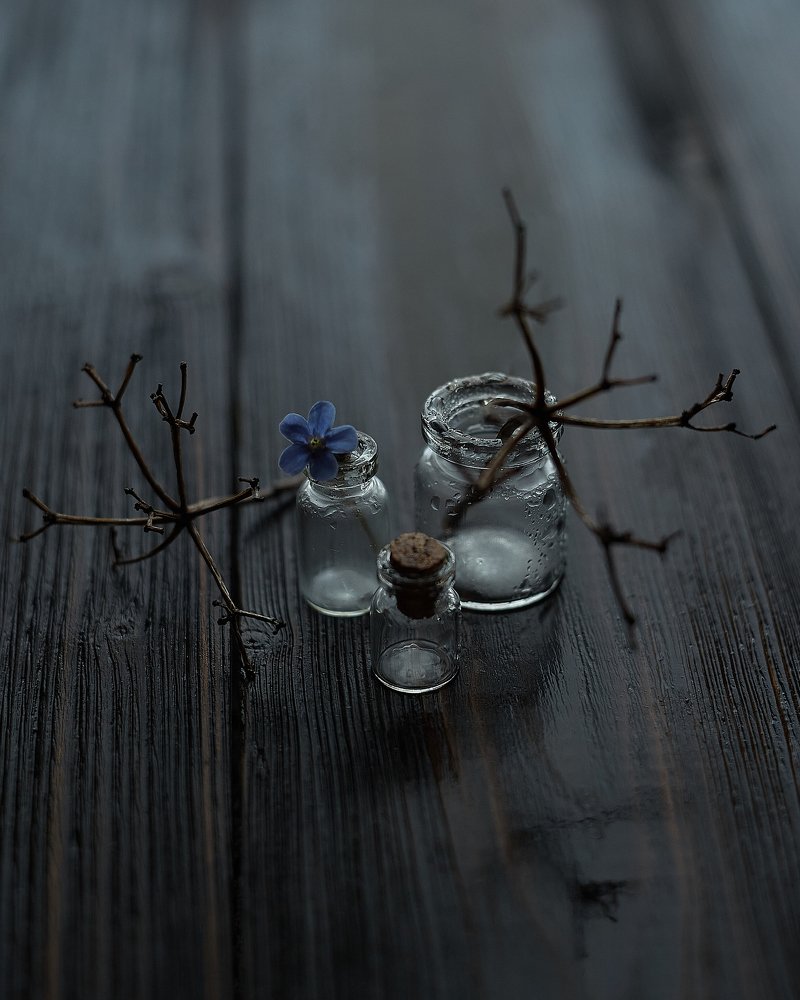 Photograph by Илья Лисаускас