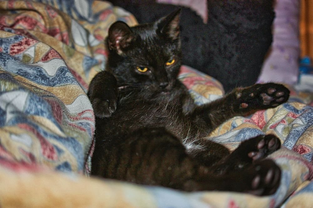 Photograph by Sandor Zoltan Gal