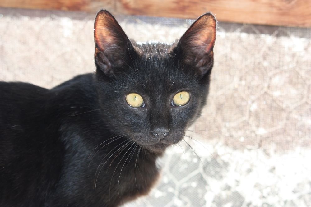 Photograph by Sandor Zoltan Gal