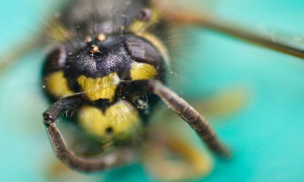 Photograph by Sandor Zoltan Gal