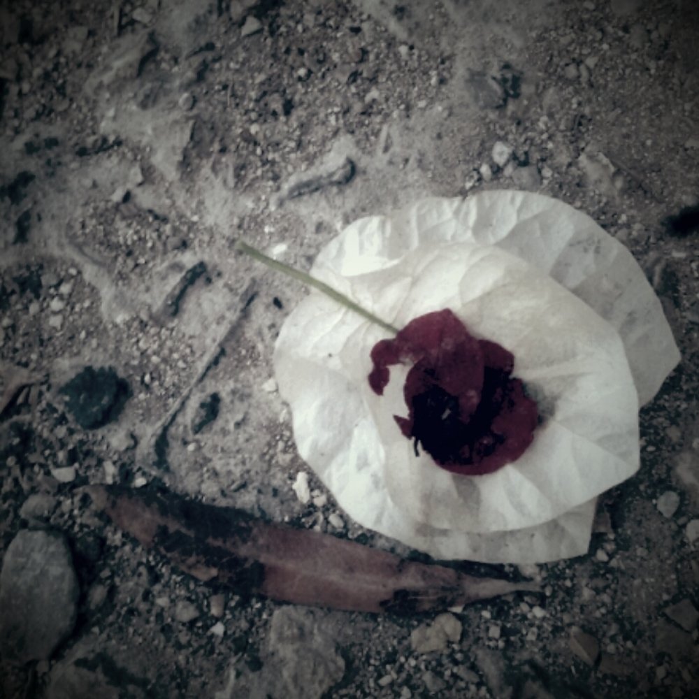 Photograph by Moulay Ahmed KASSI