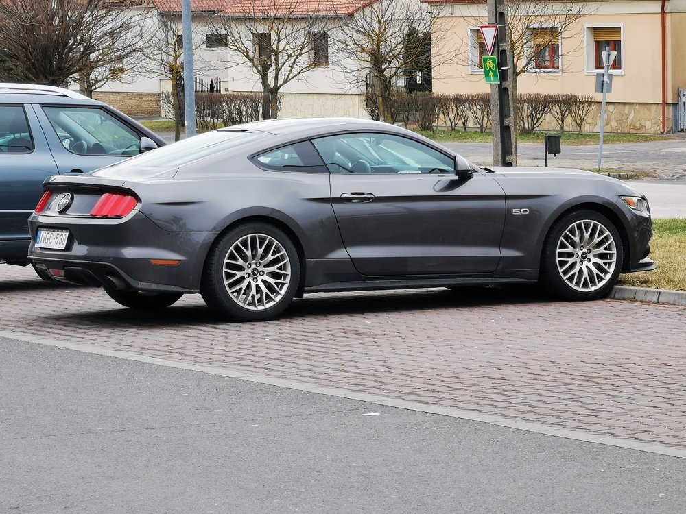 Photograph by Sandor Zoltan Gal