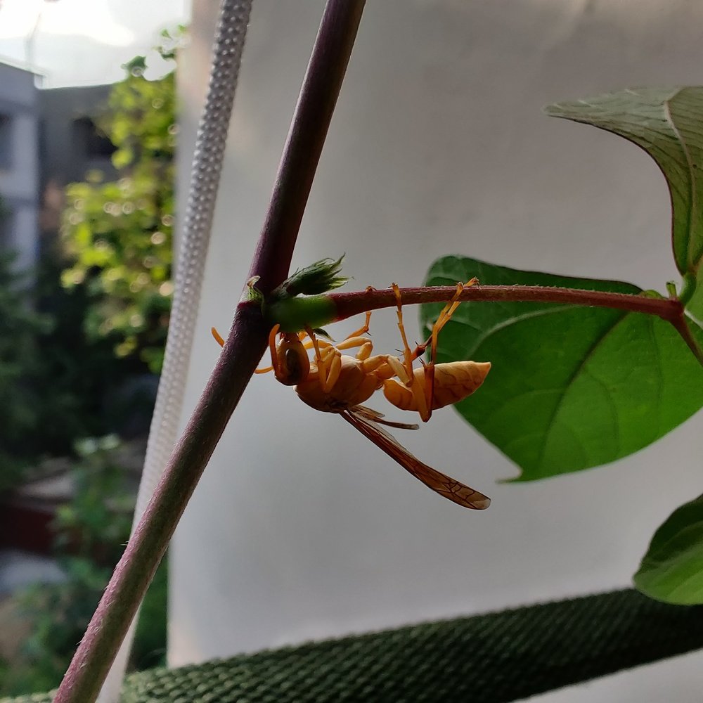 Photograph by vivek Kumar