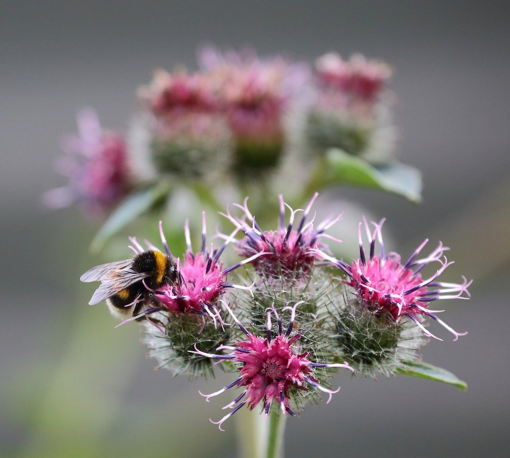 Photograph by Станислав Вершинин