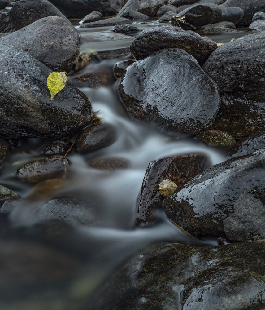 Photograph by Юрий Чернов