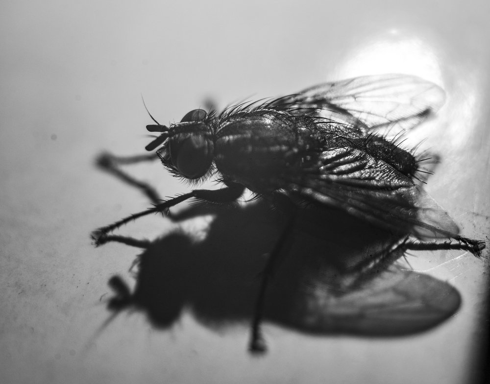 Фотография автора Александр Кременицкий