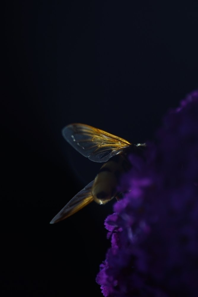 Photograph by Magdalena Wysztygiel