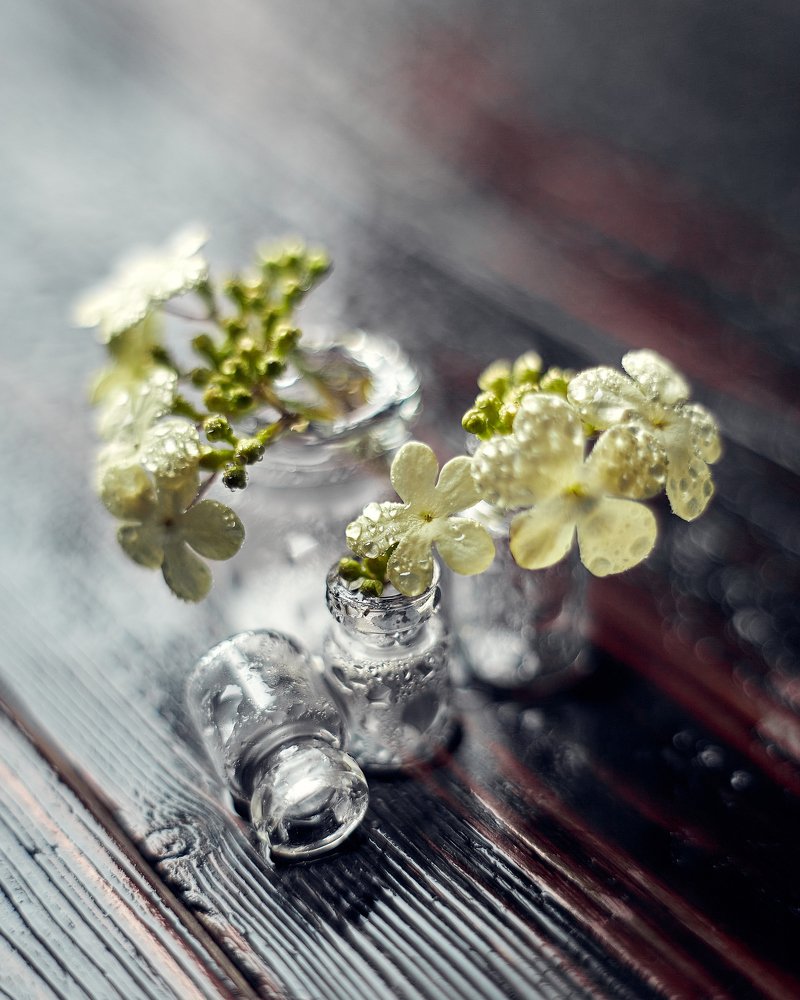 Photograph by Илья Лисаускас