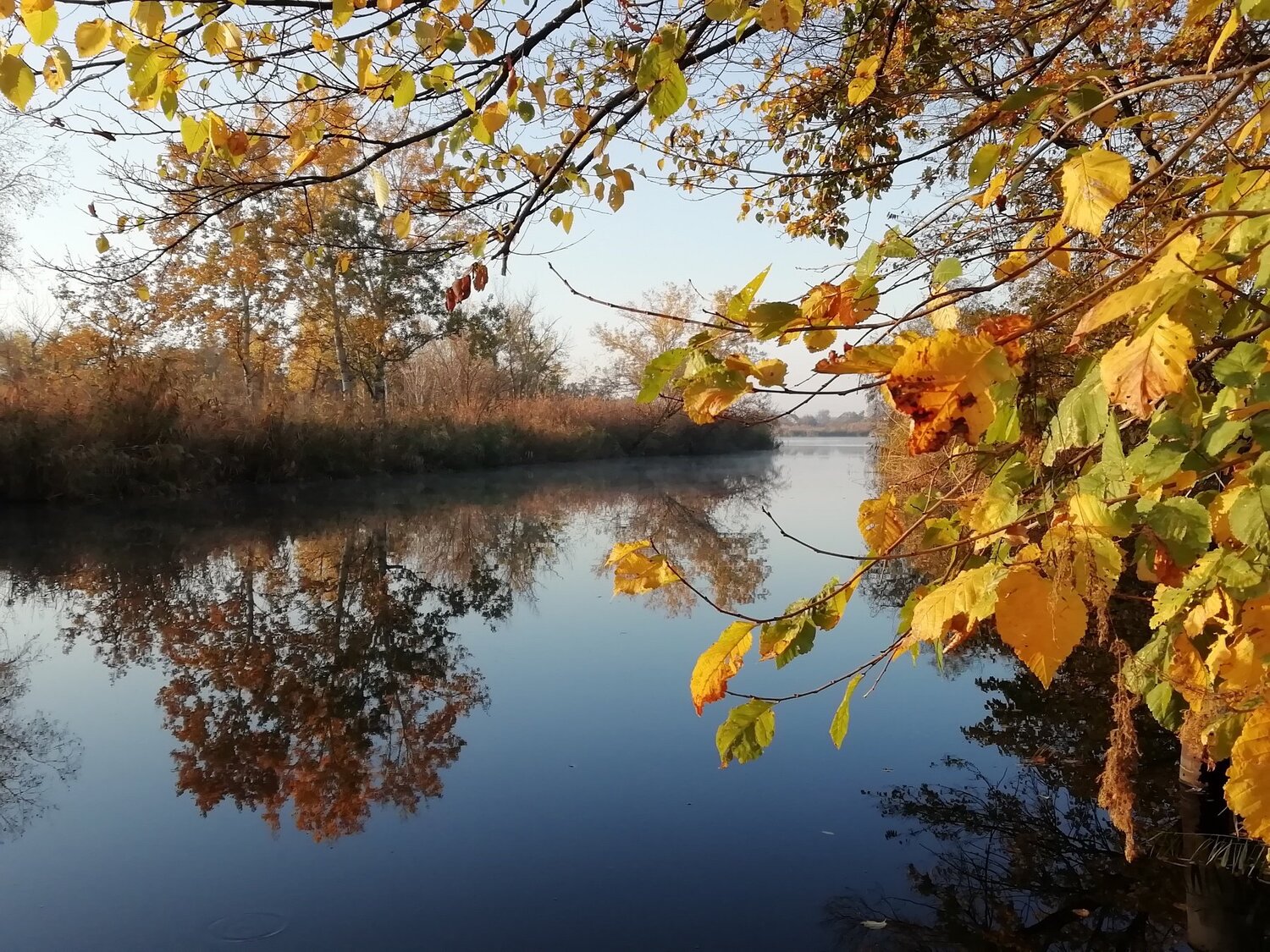 Photo #5074282