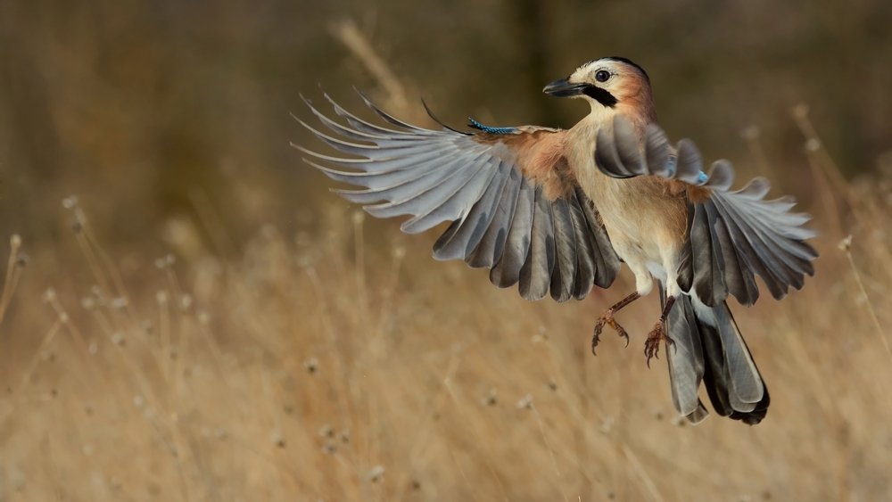 Photograph by Татьяна Жеребцова