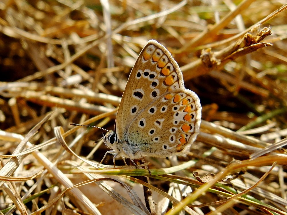 Photograph by Eugene Degtyaryov