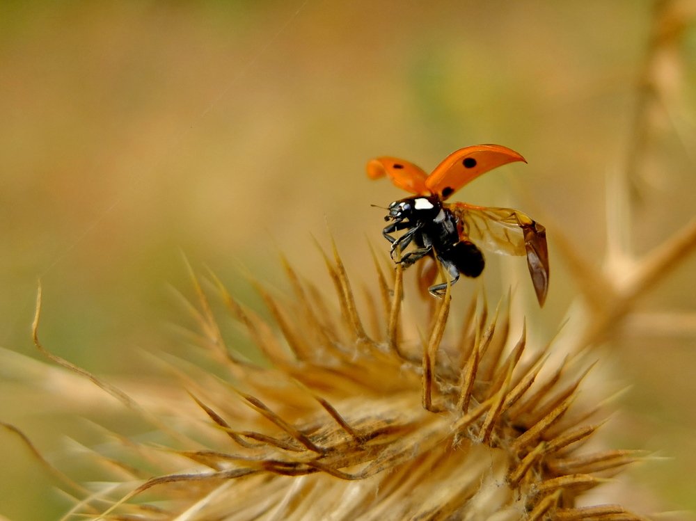 Photograph by Eugene Degtyaryov