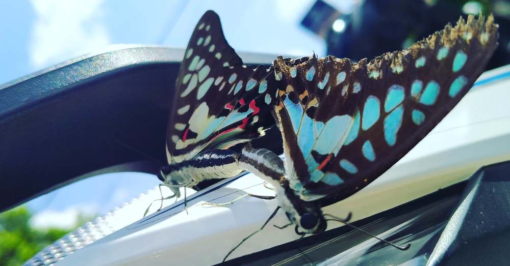 Photograph by Ansyah Badri