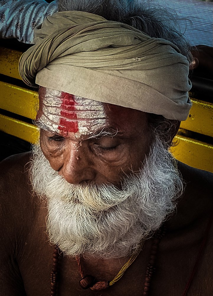 The Thoughtful Sage