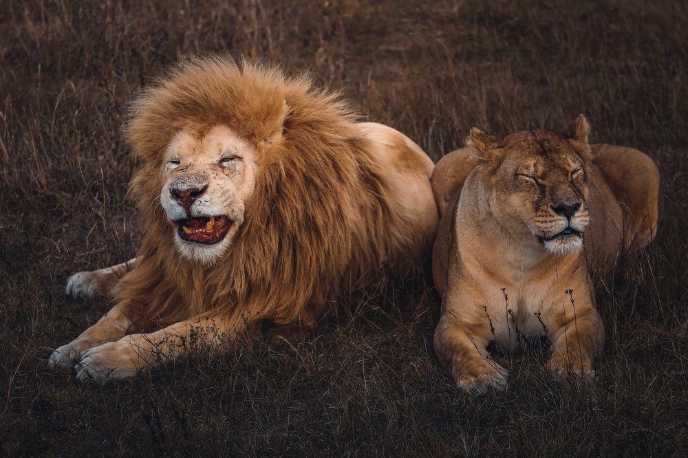 Photograph by Светлана Воскресенская