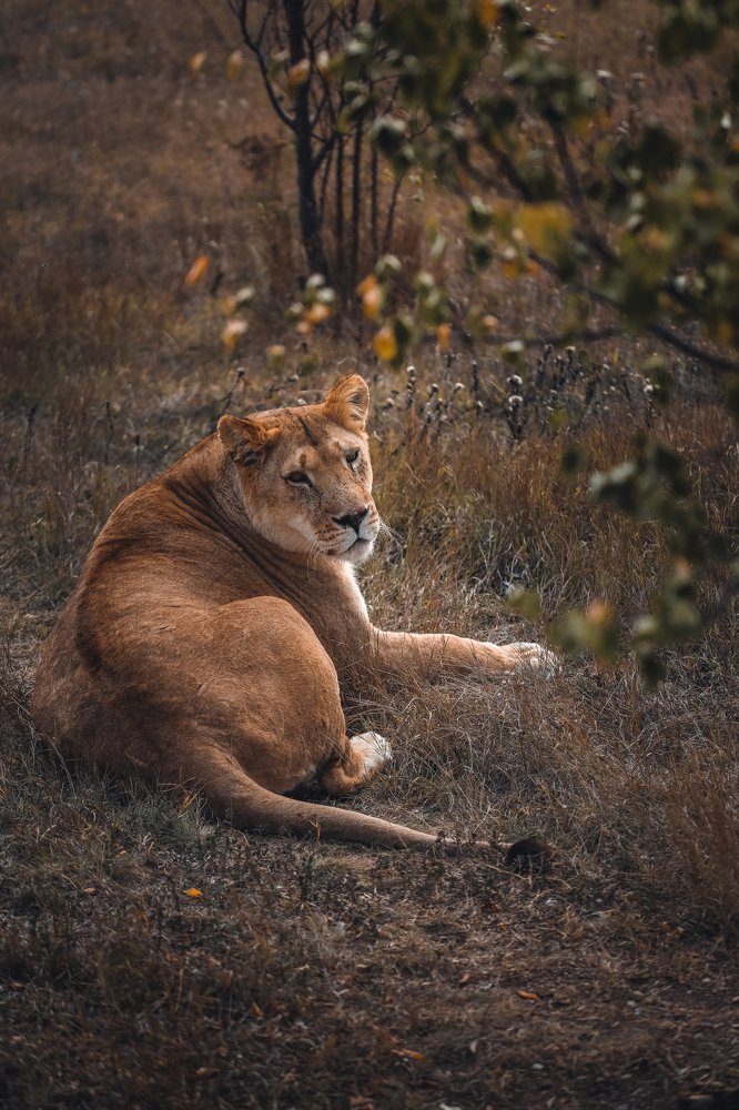 Photograph by Светлана Воскресенская