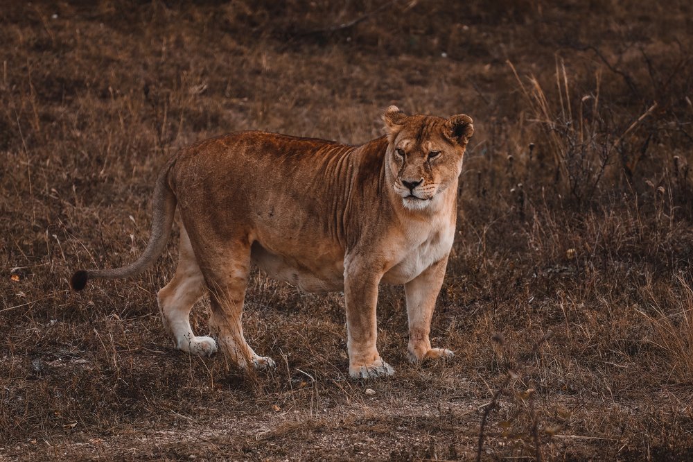 Photograph by Светлана Воскресенская