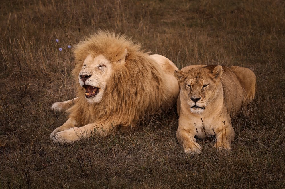 Photograph by Светлана Воскресенская