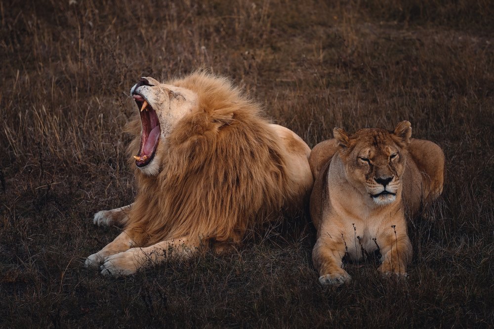 Photograph by Светлана Воскресенская