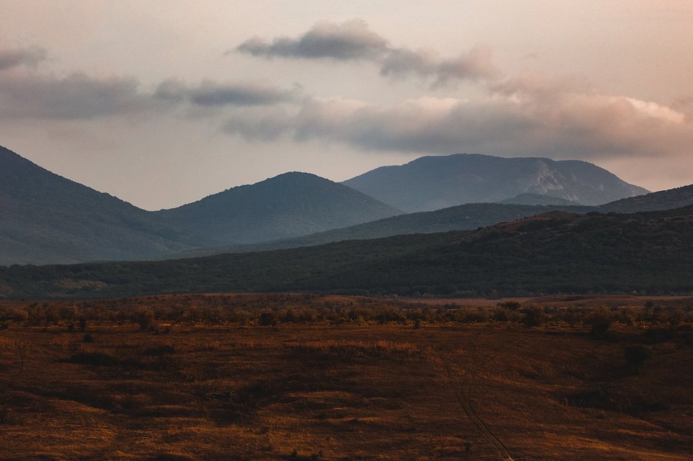 Photograph by Светлана Воскресенская