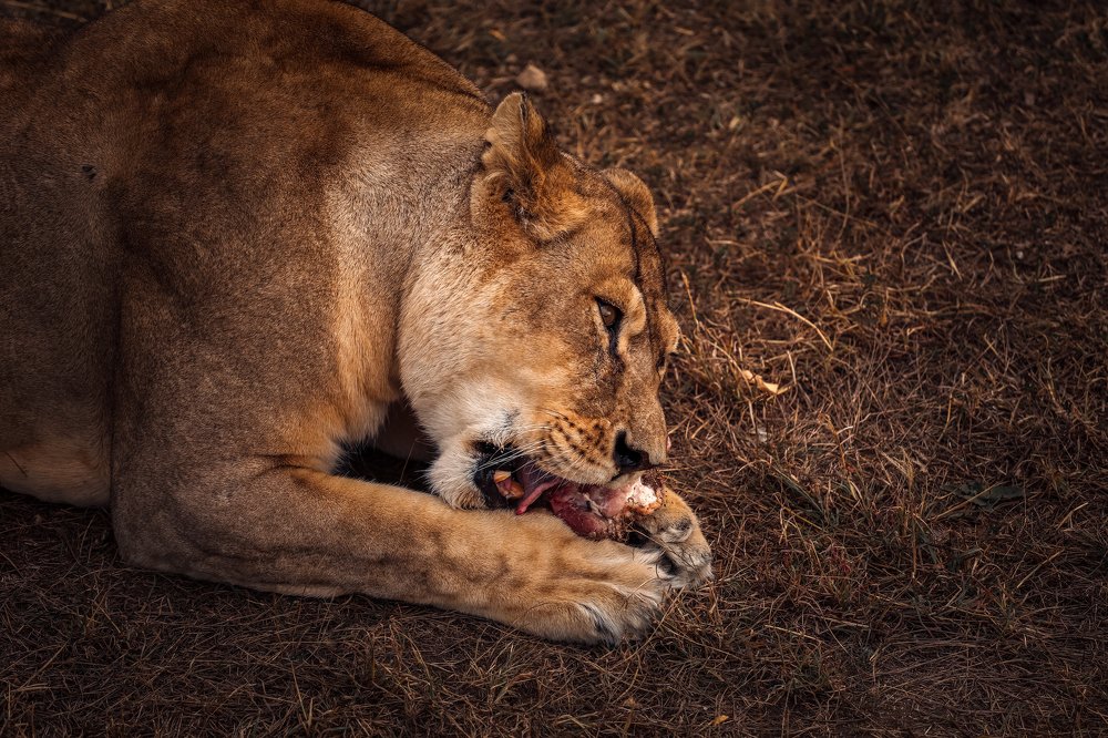 Photograph by Светлана Воскресенская