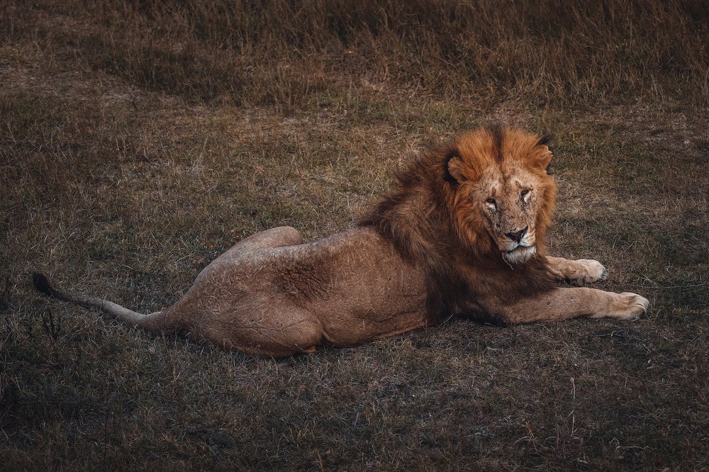 Photograph by Светлана Воскресенская