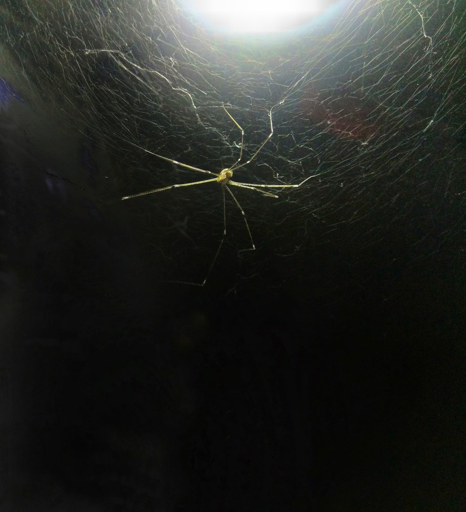 Фотография автора Parag Purkar