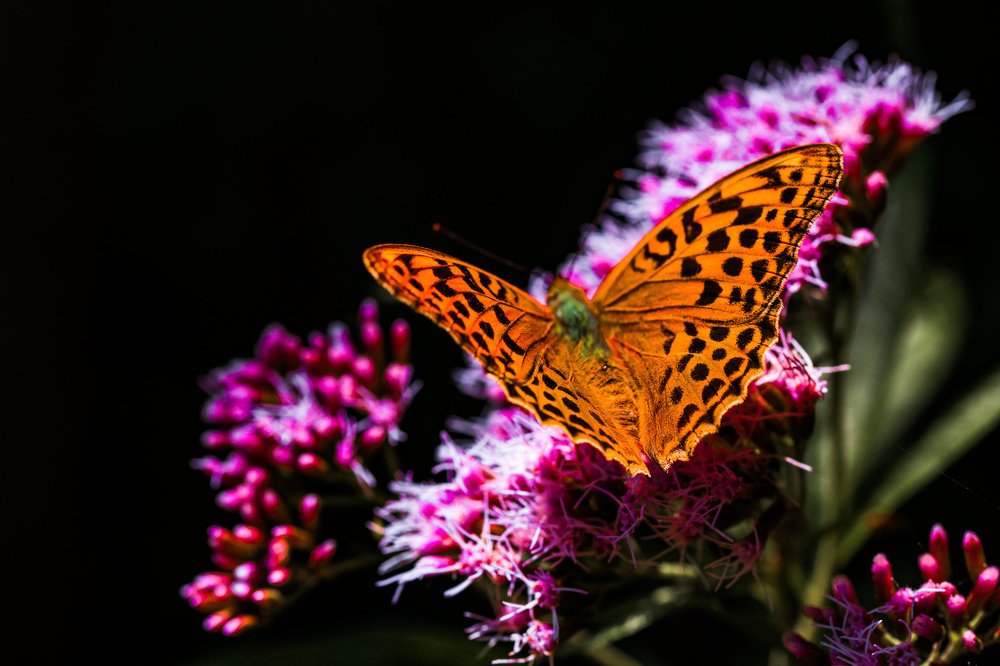Photograph by Mira Mumina