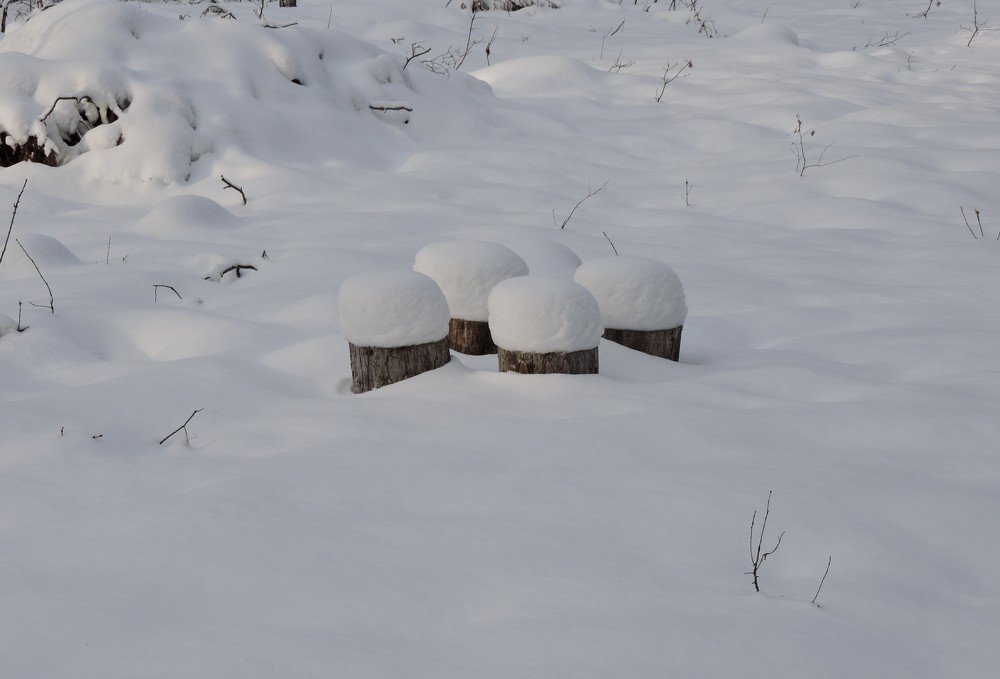 Photograph by Михаил Царикевич