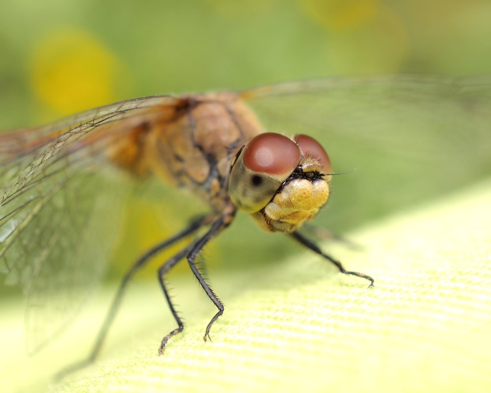 Photograph by Eugene Degtyaryov