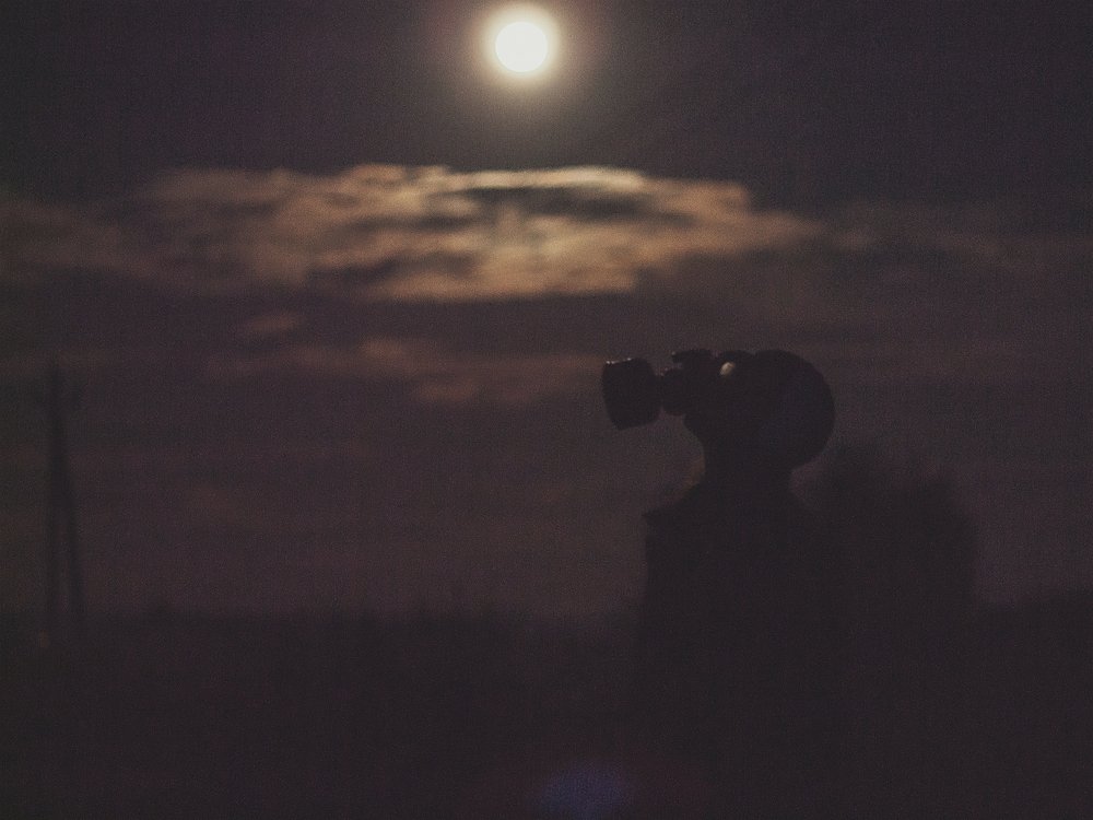 Photograph by Мария Шаркань