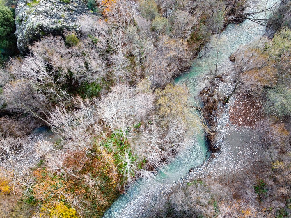 Photograph by Ольга Швили