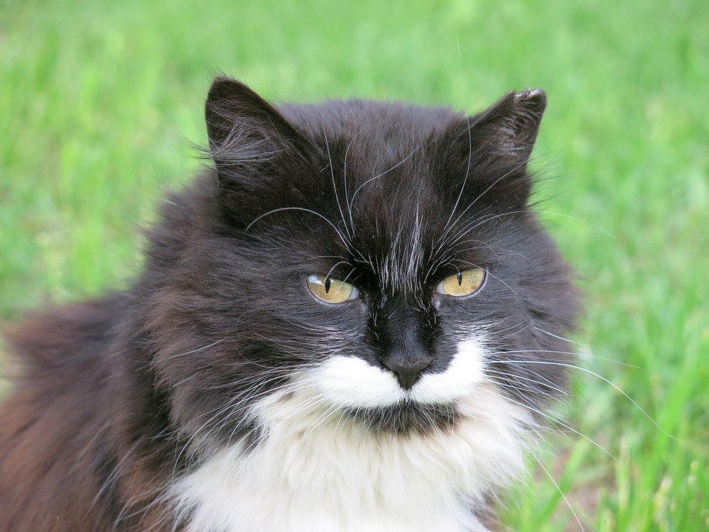 Photograph by ЭЛЬМИРА  ИСМАИЛОВА