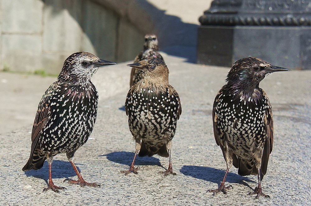 Photograph by Евгений Устинов